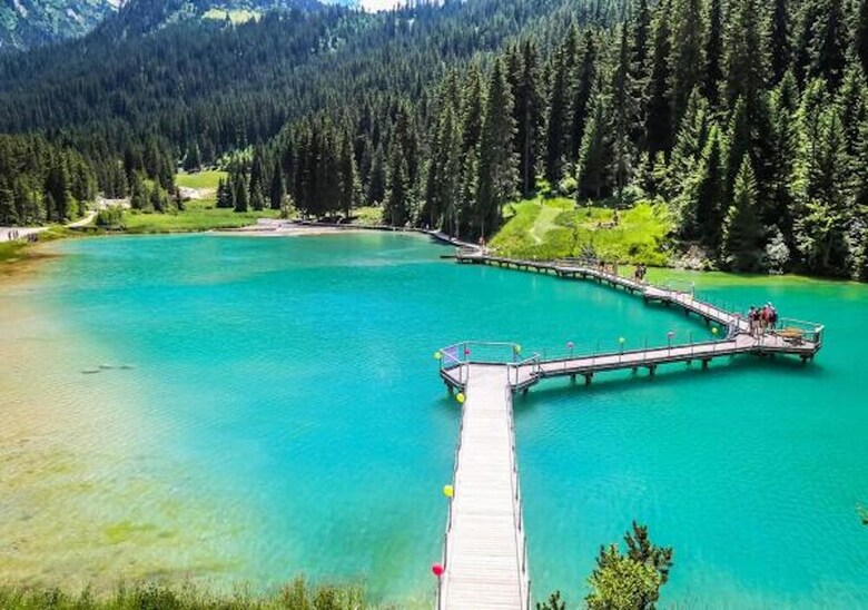 R�sidence Le Domaine Du Jardin Alpin