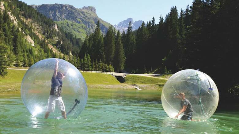 R�sidence Le Domaine Du Jardin Alpin