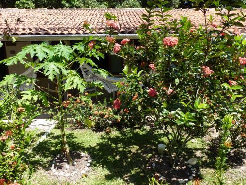 Hostal Pousada Meu Sossego