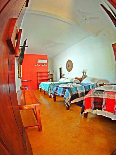 Hostal Pousada Meu Sossego