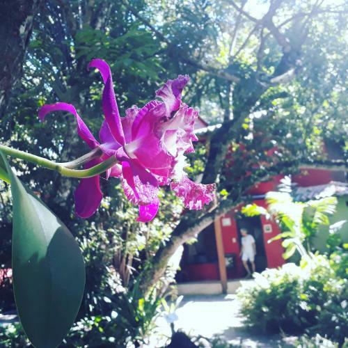 Hostal Mata N'ativa Pousada