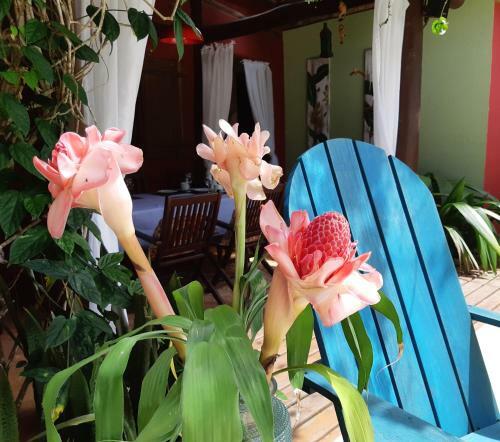 Hostal Mata N'ativa Pousada