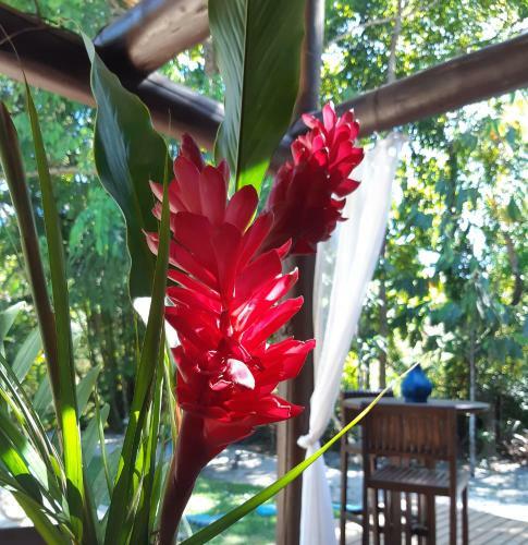 Hostal Mata N'ativa Pousada