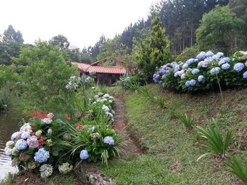 Hostal Pousada Da Oma