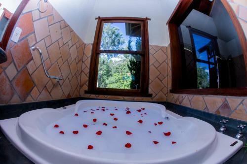 Hostal Pousada Vida Verde