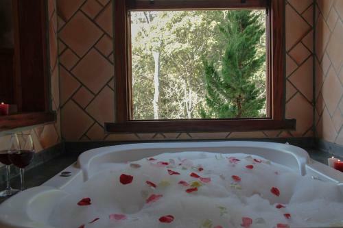 Hostal Pousada Vida Verde