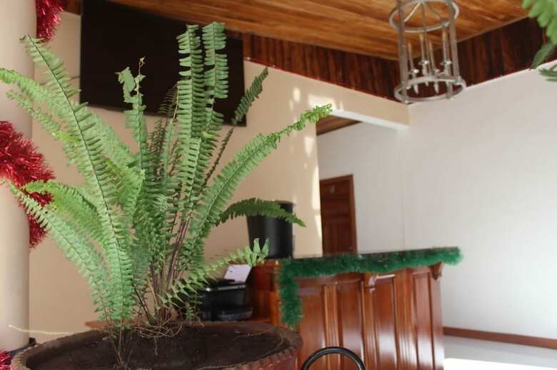 Posada Rivas Inn