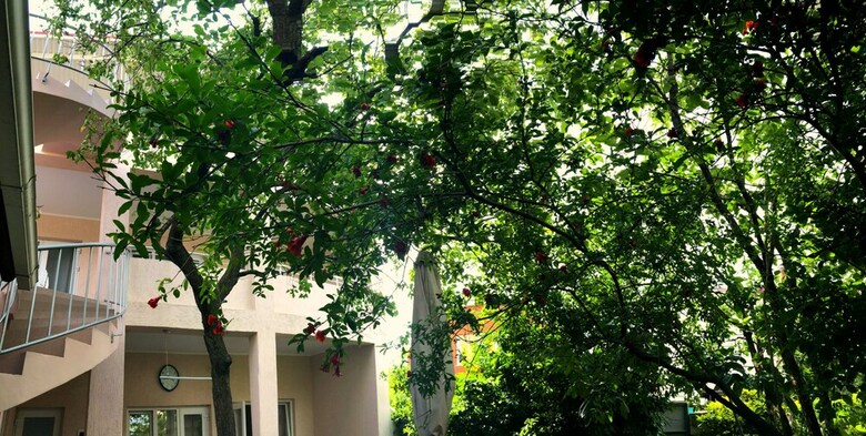 Bed & Breakfast Abrikos