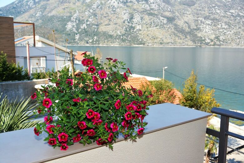Apartamentos Holiday Home Cattaro