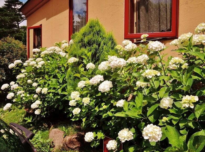 Hotel Aromatic Garden Villa La Poltrona Nasu