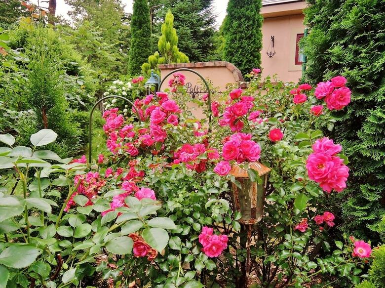 Hotel Aromatic Garden Villa La Poltrona Nasu