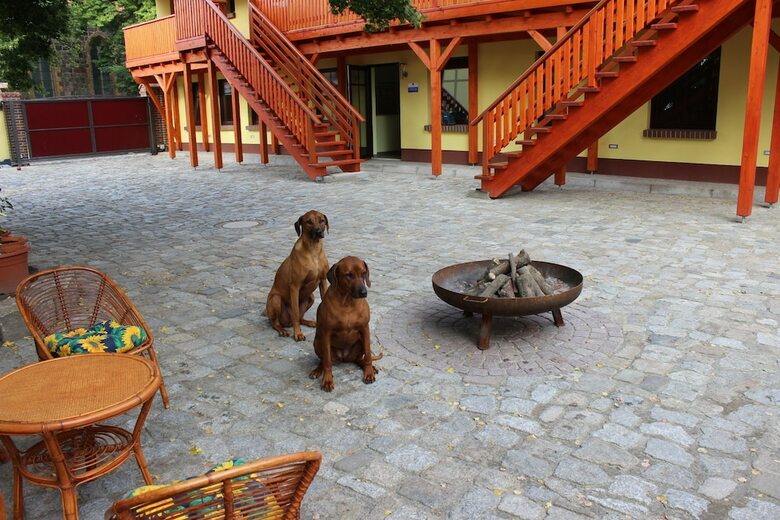 L&l Skaters Home Und Hundepension Gmbh