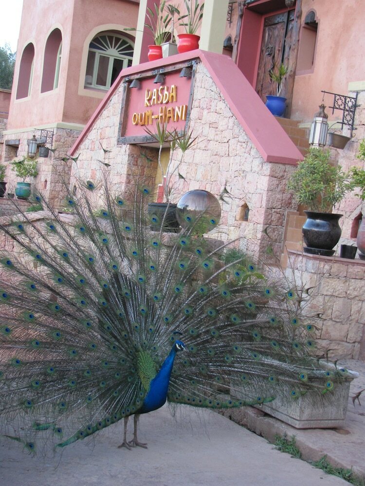 Hotel Kasba Oum Hani