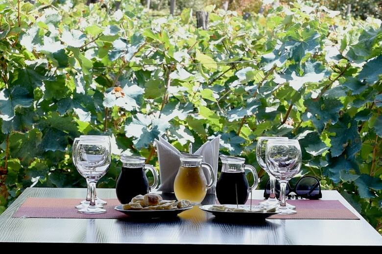 Hotel Twins Wine Cellar