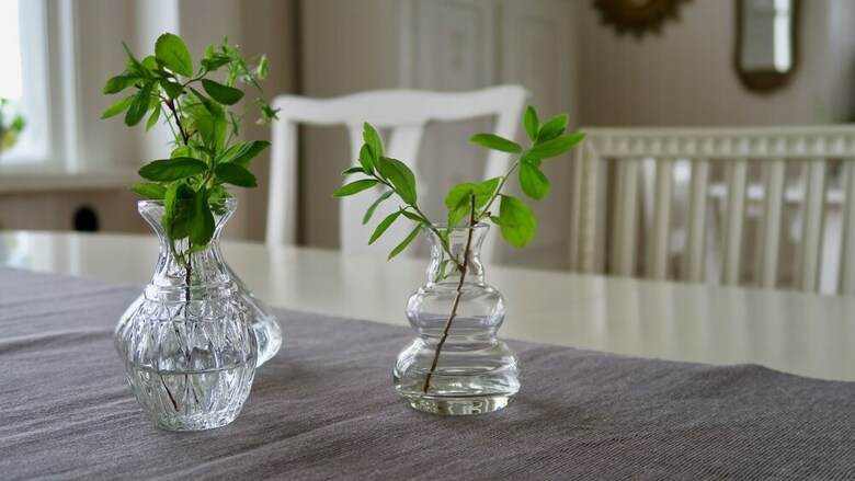 Solbacken Bed & Breakfast