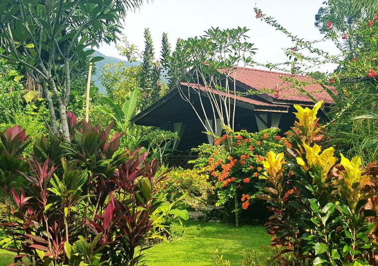 Bed & Breakfast Thousand Hills Ketambe