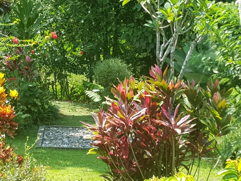 Bed & Breakfast Thousand Hills Ketambe