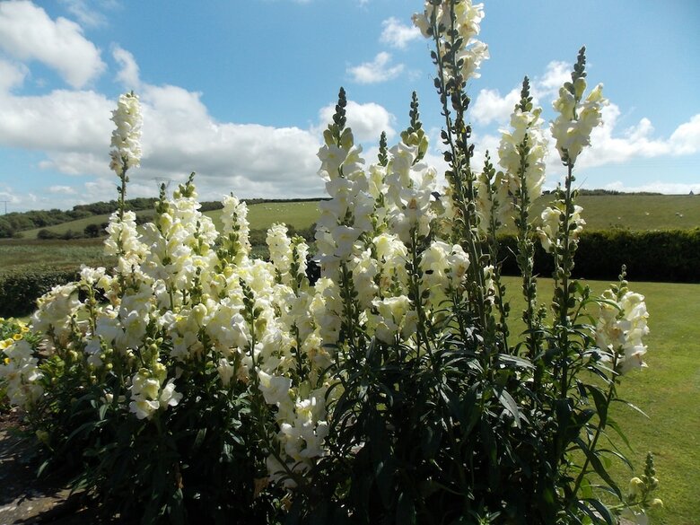 Bed & Breakfast Craig Eithin B & B Holyhead