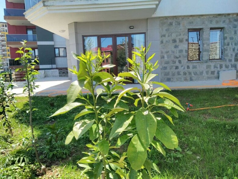 Apartamento Sami Villa