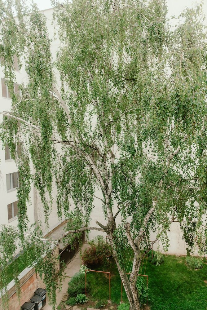 Wake Up Apartments