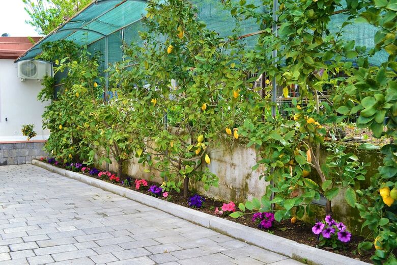 Bed & Breakfast Casa Fiorita Gragnano