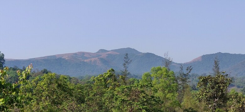 Hotel Paradise Wild Hills