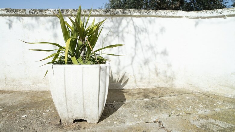 Apartamento Trullo Pinto