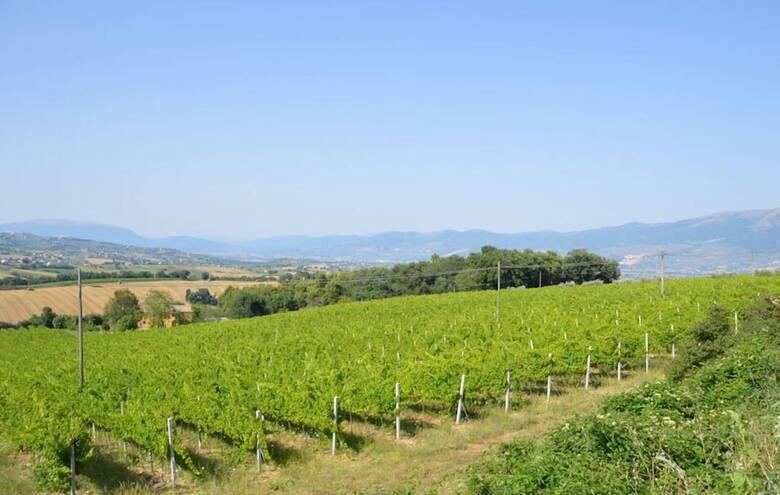 Agroturismo Agriturismo Gli Olmi