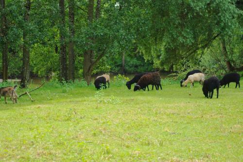Hostal Le Moulin Du Bas Pes�