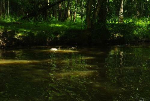 Hostal Le Moulin Du Bas Pes�