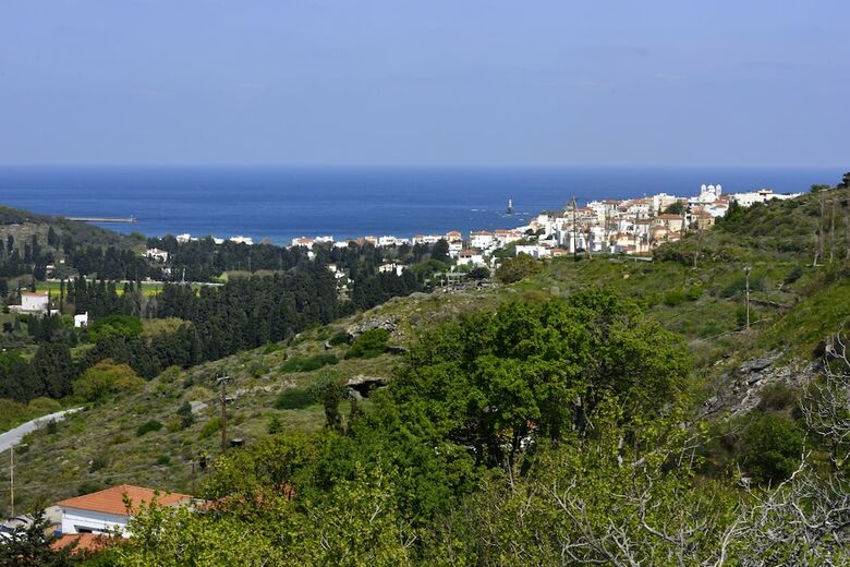 Aparthotel Casa Di Fiori Suites Andros