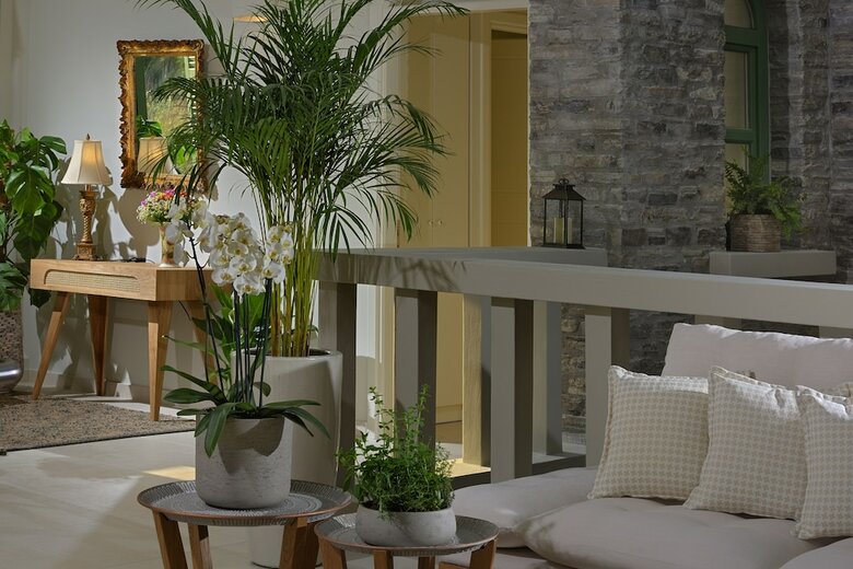 Aparthotel Casa Di Fiori Suites Andros