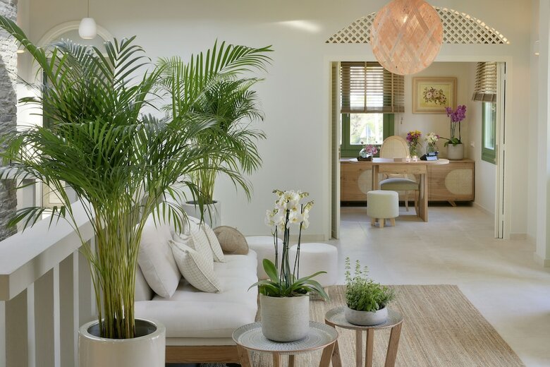 Aparthotel Casa Di Fiori Suites Andros
