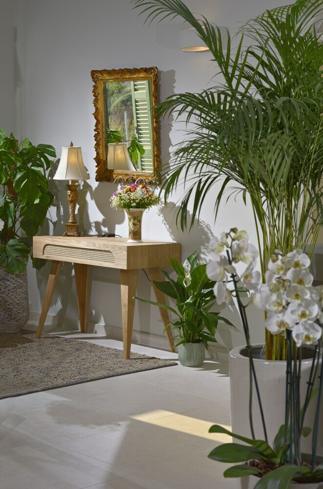 Aparthotel Casa Di Fiori Suites Andros