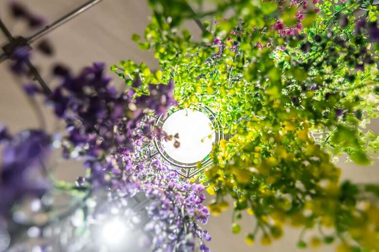 Bed & Breakfast Sunlight Forest