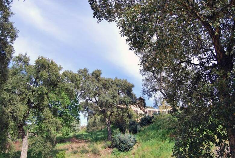 Bed & Breakfast Villa Nais