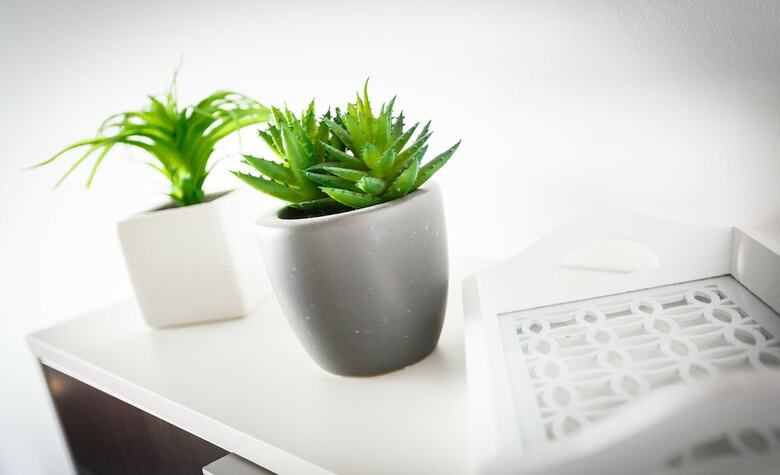 Apartamento En Las Canteras