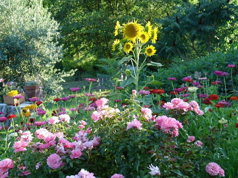 Bed & Breakfast Il Melograno