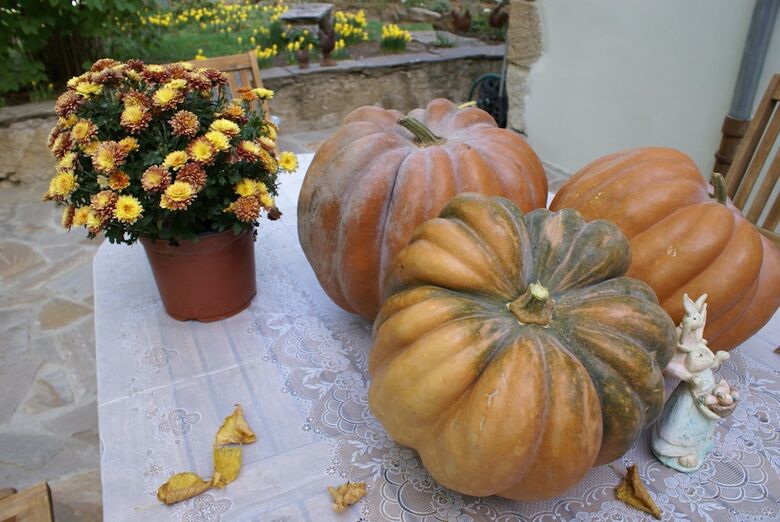 Bed & Breakfast Maison Bersane