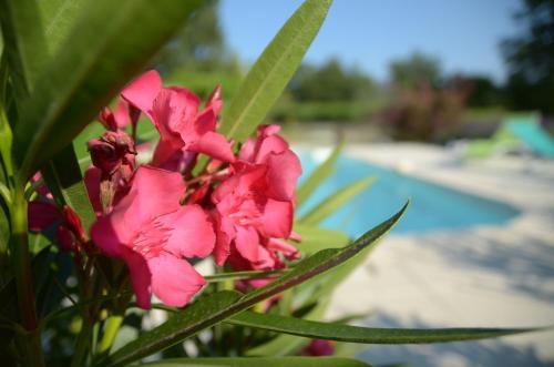 Bed & Breakfast Mas De Bacalan