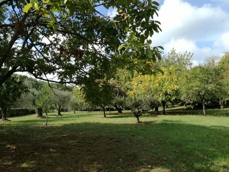 B&B Vigna Dell'agrifoglio