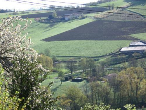 Bed & Breakfast Le Clos Du Merle
