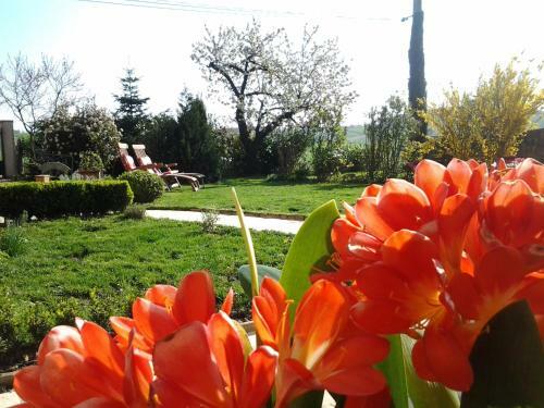Bed & Breakfast Le Clos Du Merle