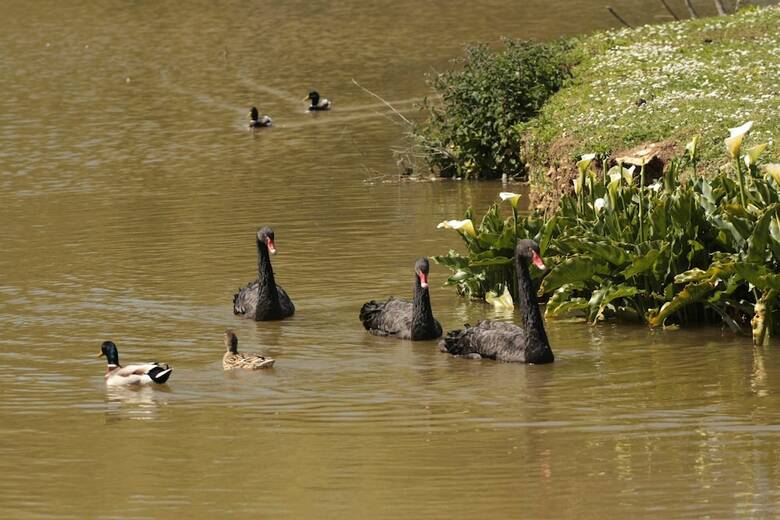 Ch�teau C�te De Nacre