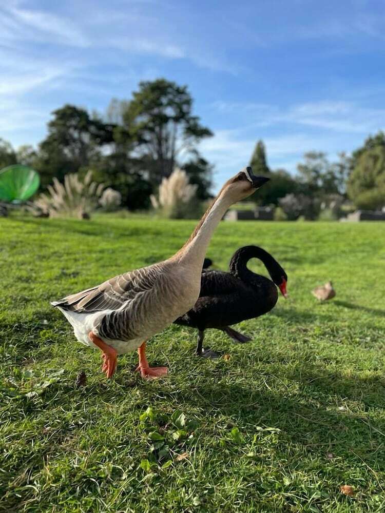 Ch�teau C�te De Nacre