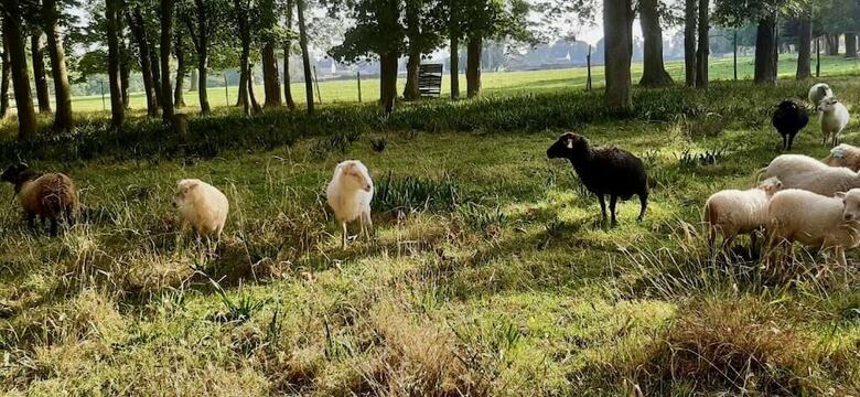 Ch�teau C�te De Nacre