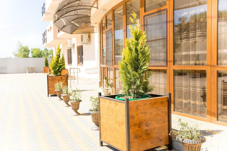 Hotel Alfa Plyus