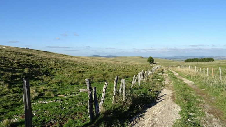 Bed & Breakfast Chambres D'hotes En Aubrac Chez Jp