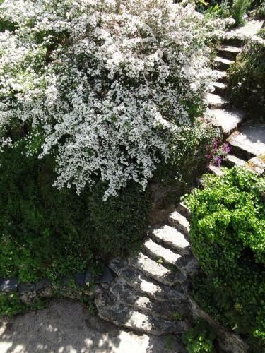 Bed & Breakfast Moulin G�ant