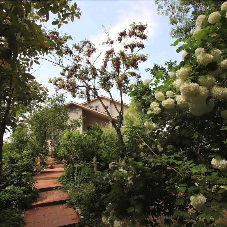 Bed & Breakfast La Casa Nel Bosco